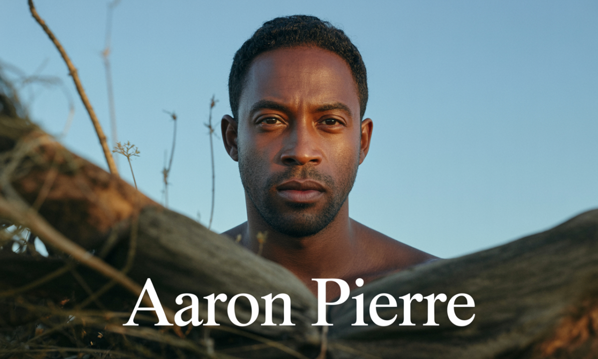 Illustration de Aaron Pierre, personnalité publique