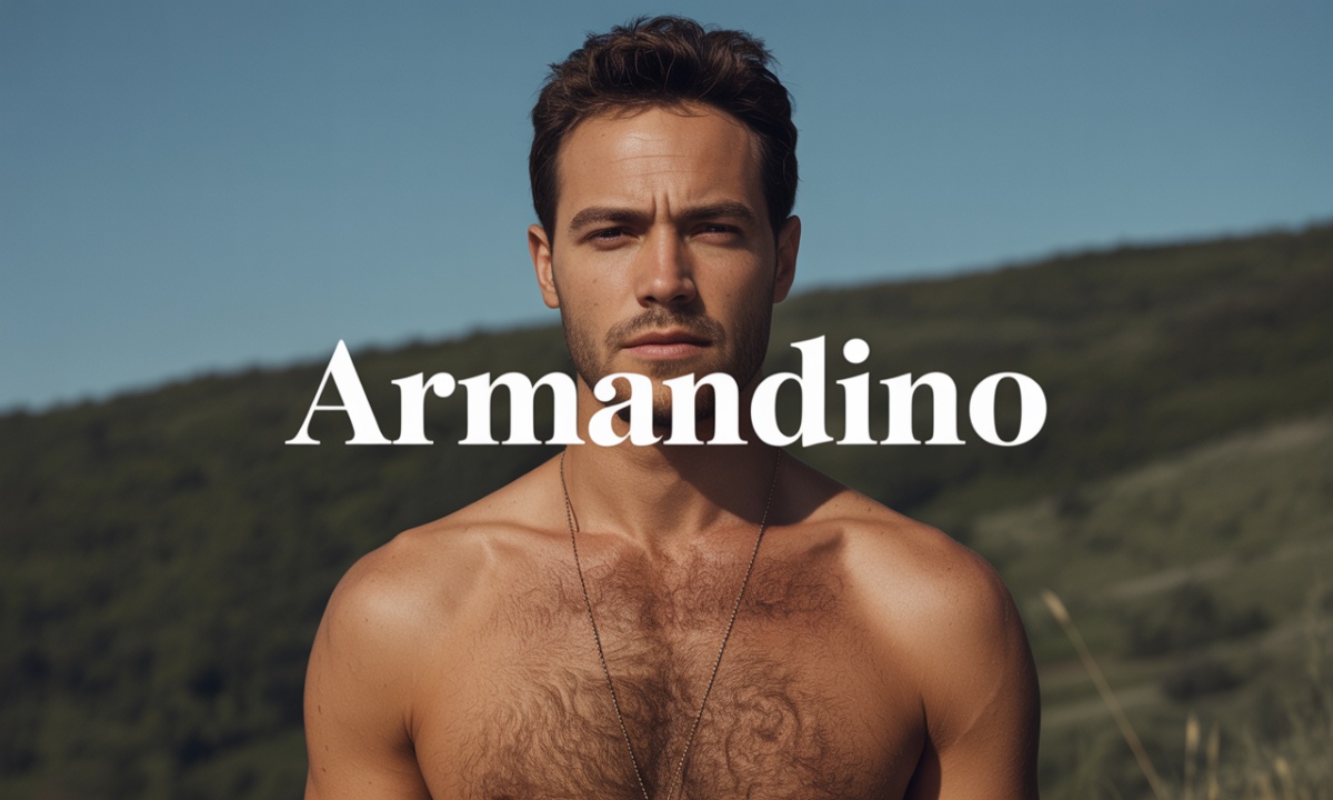 découvrez armandino, une expérience unique alliant tradition et modernité pour satisfaire toutes vos envies.