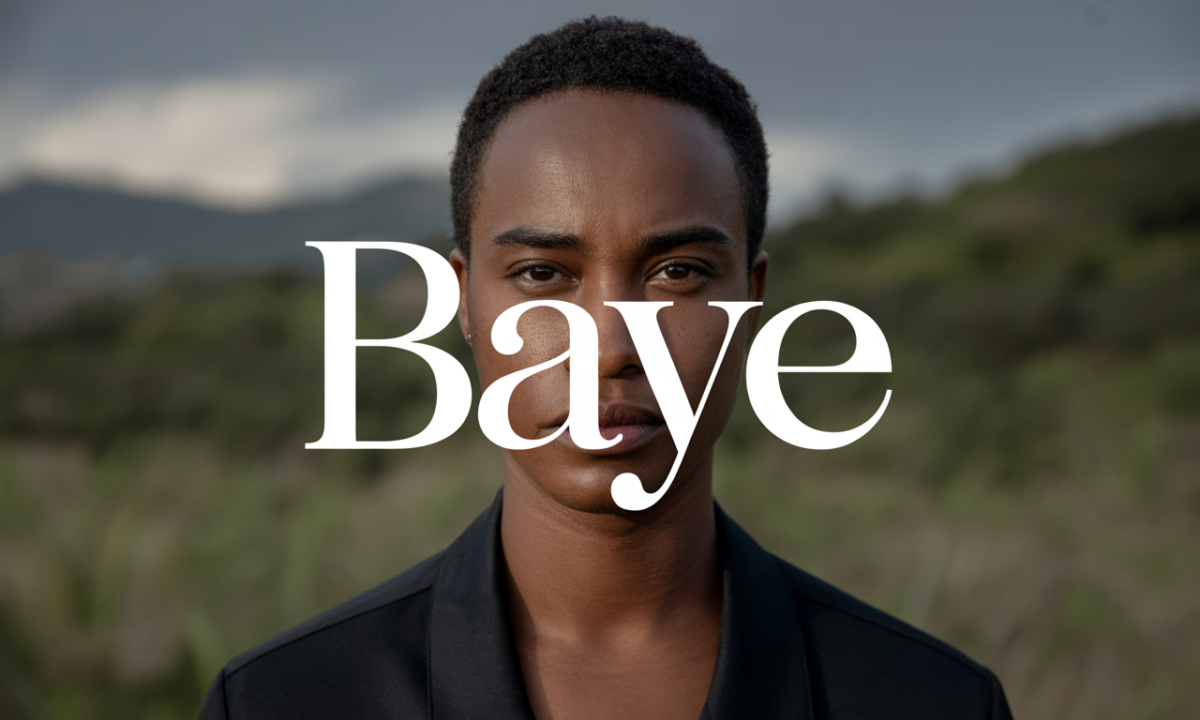 découvrez baye, un lieu empreint de charme et d'histoire, idéal pour les amateurs de culture et de paysages authentiques.