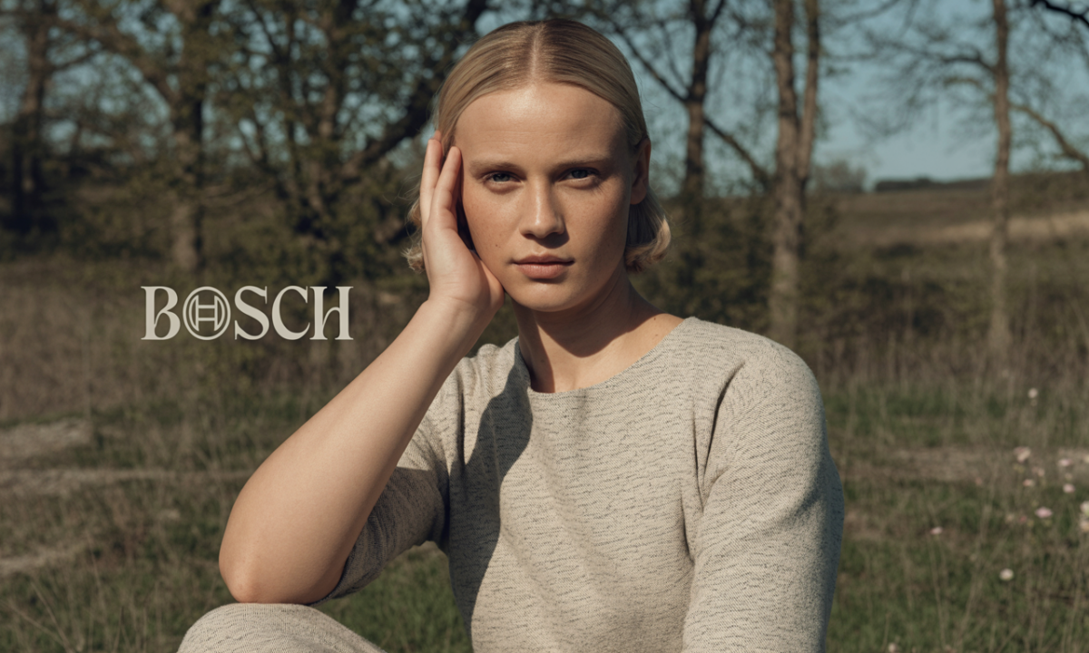 Illustration de Bosch, Noms de famille