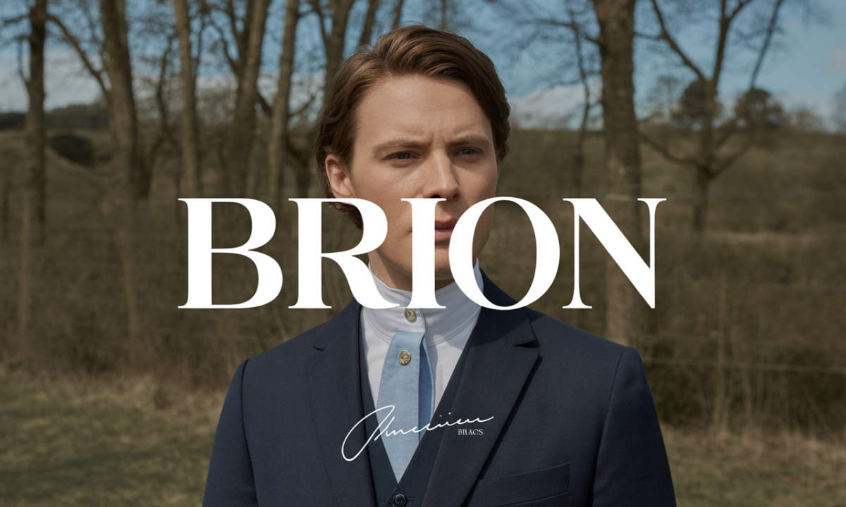 Illustration de Brion, Noms de famille