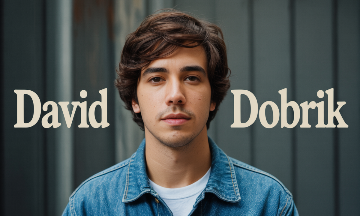 Illustration de David Dobrik, personnalité publique