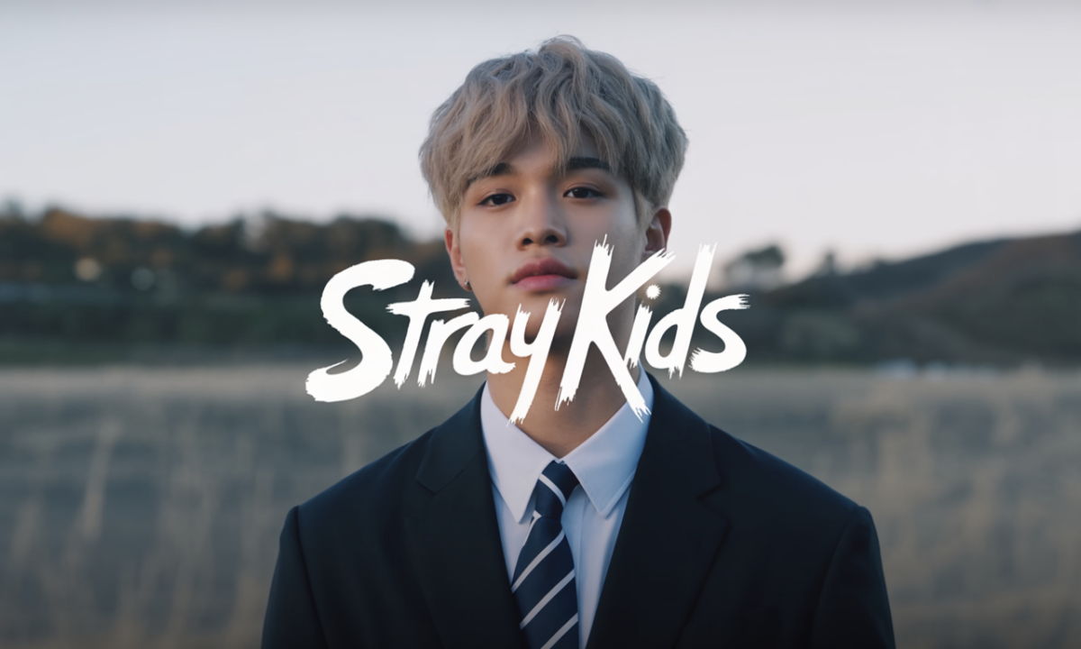 Illustration de Stray Kids, personnalité publique