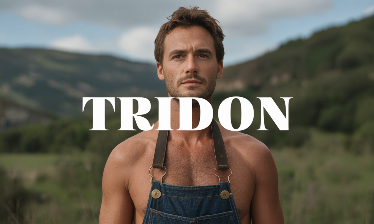 Illustration de Tridon, Noms de famille