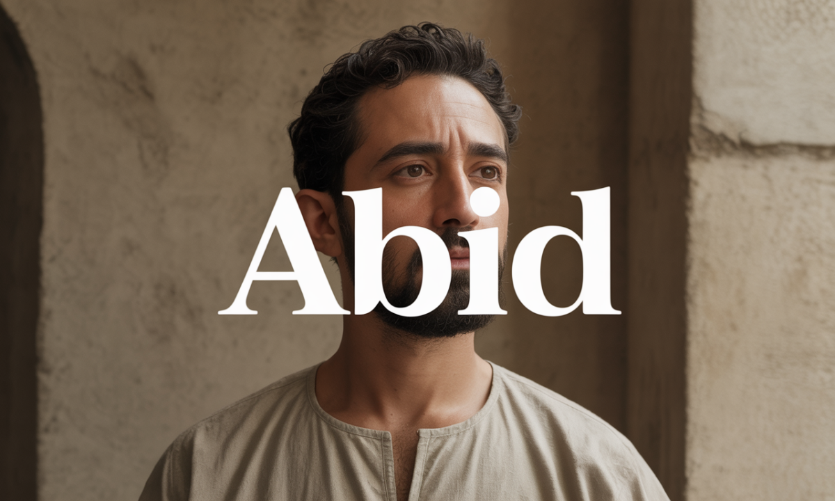 Illustration de Abid, Noms de famille