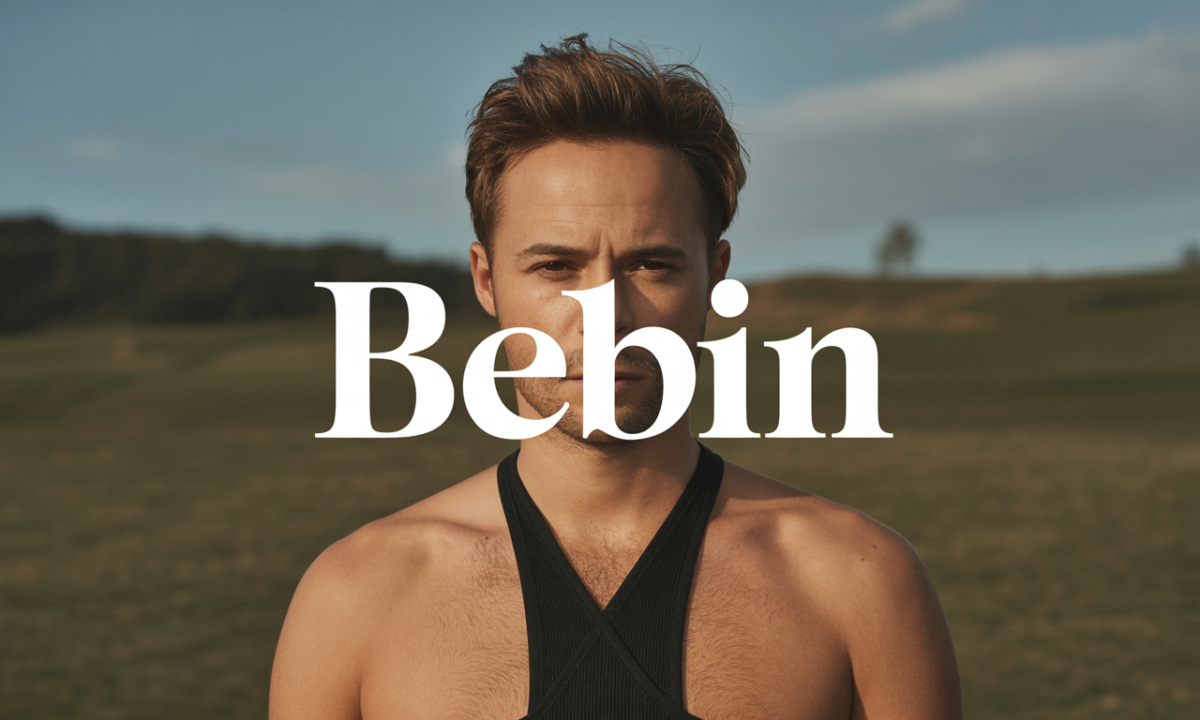 Illustration de Bebin, Noms de famille